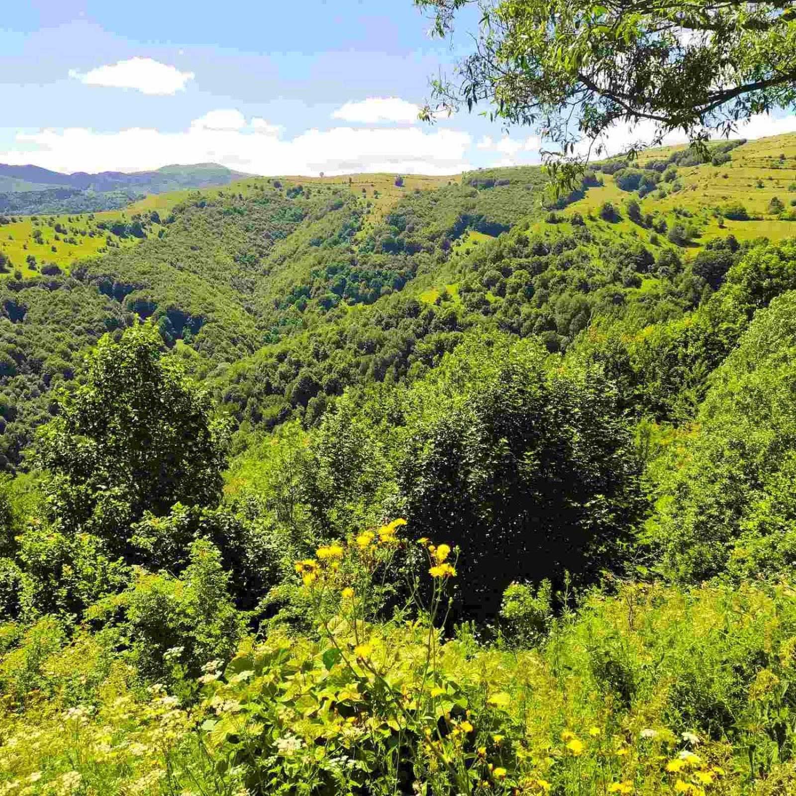 Holiday Home Vila Bjelašnica 외부 사진